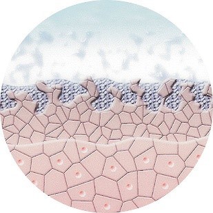 Schritt 1